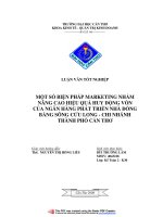 Một số biện pháp Marketing nhằm nâng cao hiệu quả huy động vốn của ngân hàng phát triển nhà ĐB Sông cửu long