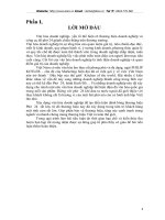 SỰ HÌNH THÀNH VÀ PHÁT TRIỂN VĂN HÓA DOANH NGHIỆP CỦA CÔNG TY PHỞ 24