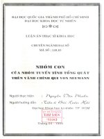 Nhóm con của nhóm tuyến tính tổng quát trên vành chính quy Von Neumann0_2