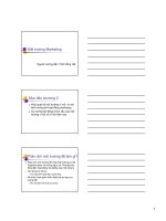 Môi trường Marketing