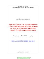 Ảnh hưởng của sự biến động tỷ giá đến kinh doanh ngoại tệ tại ngân hàng thương mại cổ phân Phương Nam