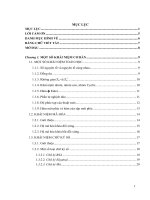 thiết kế  thử nghiệm một ứng dụng nhỏ về bỏ phiếu điện tử