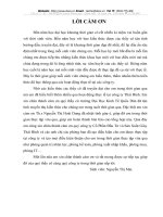 Tổng quan về công ty cổ phần đầu tư và sản xuất giày Thái Bình