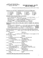 Kỳ thi tiến ích học kỳ I - Lớp 10 môn tiếng Anh