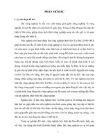 Tình hình thủ công nghiệp Việt Nam dưới thời Tự Đức (1848-1883)