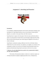 Assignment 1: Advertising and Promotion