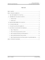 Môi trường văn hóa trong kinh doanh gia đình: nghiên cứu thực nghiệm ở hai quốc gia