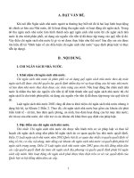 CÁC HÌNH THỨC BẢO HỘ