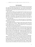 Đánh giá kết quả sử dụng và một số giải pháp nâng cao hiệu quả sử dụng vốn đầu tư cho xây dựng cơ sở hạ tầng kỹ thuật