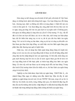 Nâng cao hiệu quả hoạt động bảo lãnh tại chi nhánh ngân hàng TMCP Bắc Á chi nhánh Hàng Đậu