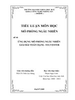 ỨNG DỤNG MÔ PHỎNG NGẪU NHIÊN  GIẢI BÀI TOÁN DẠNG  SYLVESTER