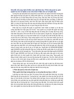 Sửa đổi, bổ sung một số điều của Luật Giáo dục: Phân cấp quản lý, giao quyền tự chủ và nghĩa vụ tự chịu trách nhiệm cho cơ sở giáo dục