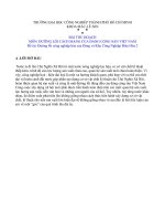 Đường lối công nghiệp hóa của Đảng và Khu Công Nghiệp Biên Hòa 2