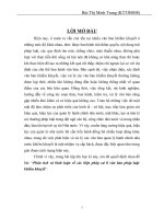 Phân tích và bình luận về các biện pháp xử lí văn bản pháp luật khiếm khuyết