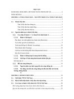 Phân tích những nguyên nhân gây ra tâm lý bầy đàn trên TTCK Việt Nam. Áp dụng mô hình của Hwang & Salmon (2004) (viết tắc là mô hình HS) để ước lượng nhân tố bầy đàn trên TTCK Việt Nam