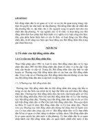 Tổ chức của hội đồng nhân dân