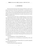 Hợp đồng ủy thác xuất nhập khẩu các vấn đề pháp quy và thực tiễn tại công ty Cổ phần thương mại và vận tải quốc tế Châu Giang