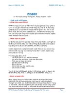 .Hướng phát triển Zigbee trong tương lai: