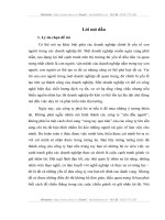 Hoàn thiện công tác tuyển mộ, tuyển chọn nhân lực tại công ty cổ phần công nghệ viễn thông Viteco