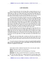 Quan hệ giữa tỷ giá hối đoái với cán cân thương mại và một số giải pháp xây dựng tỷ giá hối đoái thả nổi có sự quản lý ở Việt Nam