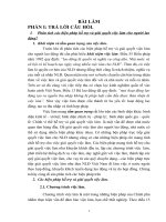 Phân tích các biện pháp hỗ trợ và giải quyết việc làm cho người lao động