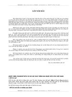 Phân tích những khó khăn và thuận lợi đối với Việt Nam khi hội nhập vào WTO