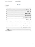 Chiến lược Marketing của nhóm nhạc Hàn Quốc: SNSD