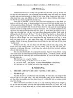 Cơ cấu tổ chức trực tuyến , ưu nhược điểm và phạm vi ứng dụng