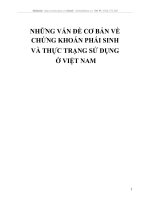 NHỮNG VẤN ĐỀ CƠ BẢN VỀ CHỨNG KHOÁN PHÁI SINH  VÀ THỰC TRẠNG SỬ DỤNG  Ở VIỆT NAM