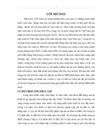 hương hướng và mục tiêu phát triển của NHPT Việt Nam