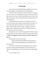 Một số biện pháp nhằm nâng cao hiệu quả sản xuất kinh doanh tại Nhà máy bia Đại Lợi