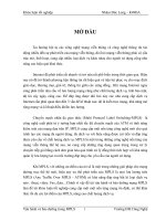 Vận hành và bảo dưỡng trong MPLS