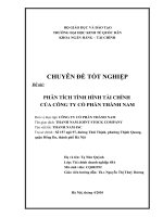 PHÂN TÍCH TÌNH HÌNH TÀI CHÍNH  CỦA CÔNG TY CỔ PHẦN THÀNH NAM