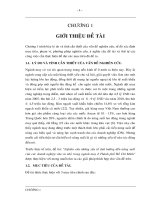 vai trò quan trọng của ngành may