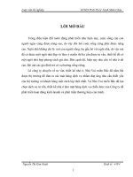 TRIỂN KHAI CHÍNH SÁCH PHÁT TRIỂN  MẶT HÀNG DỊCH VỤ CHIẾN LƯỢC CỦA CÔNG TY TNHH NHÀ VUI MIỀN BẮC