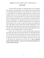 Một số giải pháp marketing nhằm hoàn thiện và nâng cao mức độ thỏa mãn khách hàng của công ty TM-DV Tràng Thi