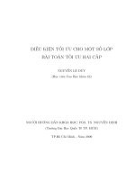 Điều kiện tối ưu cho một số lớp bài toán tối ưu hai cấp