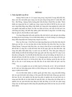 Nghiên cứu địa mạo phụcvụ giảm thiểu tai biến thiên nhiên vùng ven biển Hạ Long