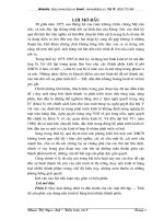 Thực trạng xây dựng và phát triển nền kinh tế hàng hóa nhiều thành phần ở Việt Nam