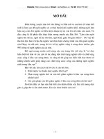 xóa đói giảm nghèo ở khu vực nông thôn