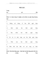 Phát triển nghiệp vụ bảo lãnh thông quan của các ngân hàng thương mại ở Việt Nam