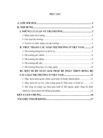 GIẢI PHÁP ĐỂ PHÁT TRIỂN ĐỒNG BỘ CÁC LOẠI THỊ TRƯỜNG Ở VIỆT NAM