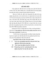 Công nghiệp hoá- Hiện hoá nông nghiệp nông thôn ở nước ta. Thực trạng và giải pháp