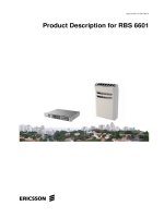 Product Description for RBS 6601