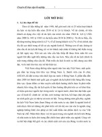 Các giải pháp nhằm mở rộng thị trường du lịch nội địa của Công ty du lịch Quốc tế xanh