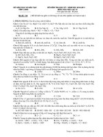 ĐỀ KIỂM TRA HỌC KỲ I NĂM HỌC 2010-2011