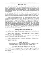 tình hình hoạt động của công ty Tân Hoàng Linh