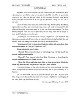 5 Hoàn thiện tổ chức và hoạt động Marketing nhằm đẩy mạnh hoạt động tiêu thụ sản phẩm tại Công ty Cổ phần An Việt