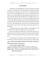 Một số giải pháp đẩy nhanh quá trình cổ phần hóa ở công ty Sông Đà 12