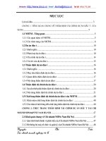 Giải pháp nâng cao chất lượng thẩm định tài chính dự án đầu tư tài chính chi nhánh NHNN&PTNT Nam hà nội